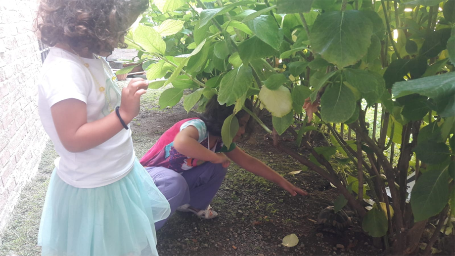 servizio di accoglienza per bambini (nurserie)