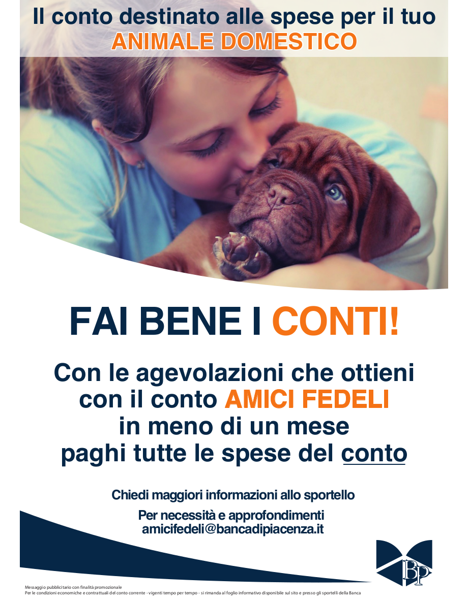 FAI BENE I CONTI!